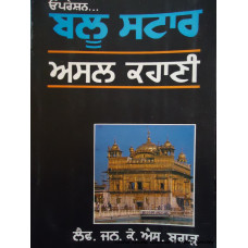 Operation Blue Star, Asal Kahani (Punjabi Book)